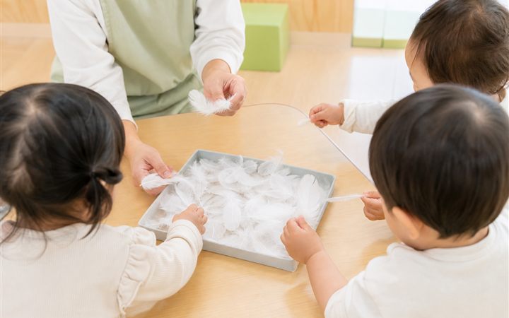ふわふわ羽根の観察の活動イメージ