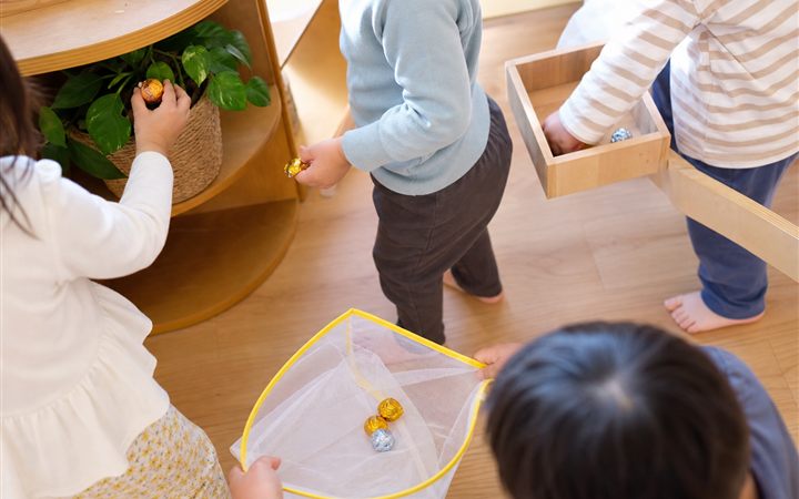 宝探しの活動イメージ
